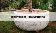 雕刻石材機的（石材雕刻機器）