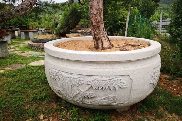 花壇圖片原視頻（花壇花卉圖片大全）