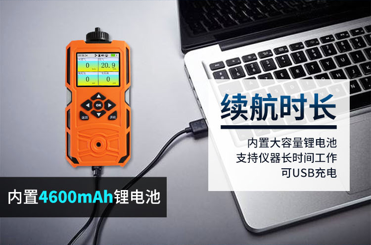 氮?dú)鉂舛葯z測(cè)報(bào)警儀 氮?dú)鉂舛葯z測(cè)報(bào)警儀